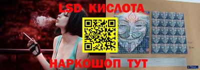 индика Лесосибирск