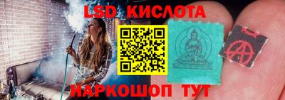 индика Лесосибирск