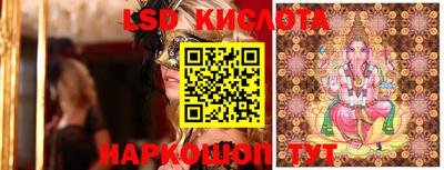 индика Лесосибирск