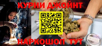 индика Лесосибирск