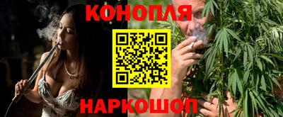 индика Лесосибирск