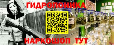 индика Лесосибирск