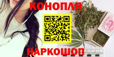 индика Лесосибирск