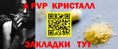 индика Лесосибирск