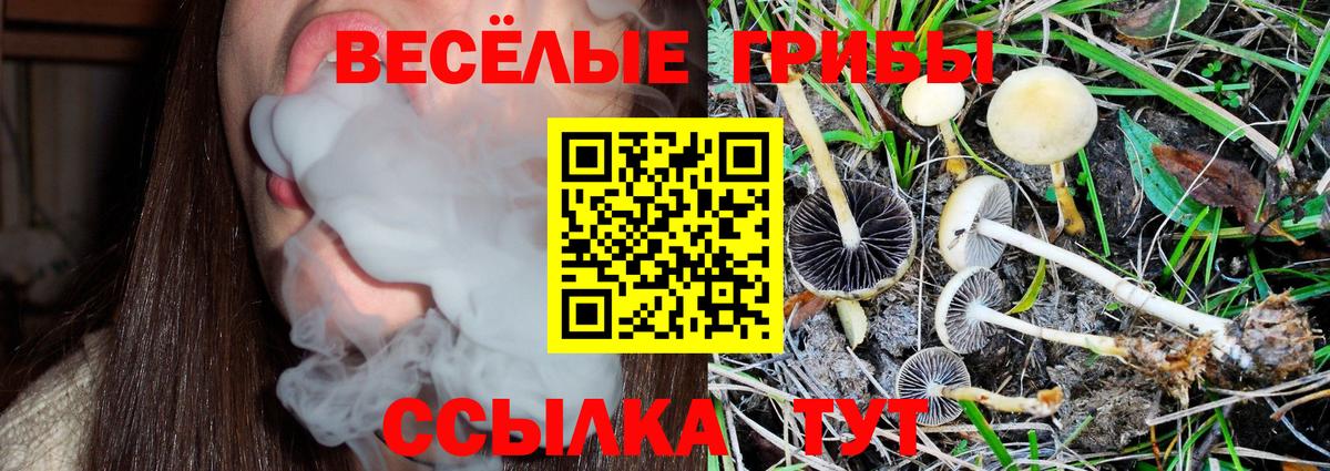Псилоцибиновые грибы мицелий Джанкой
